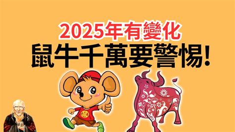 2025鼠年運程1972|2025 肖鼠流年運程 